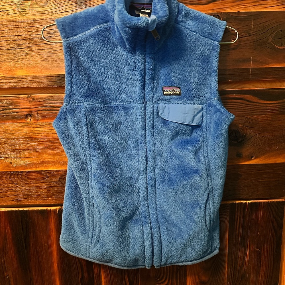 Patagonia Blue Fleece Vest